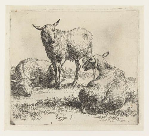 Schapen by Nicolaes Pietersz Berchem