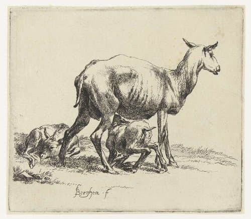 Zogend schaap met lammeren by Nicolaes Pietersz Berchem