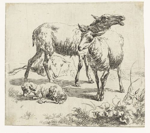 Blatend schaap tussen twee schapen en een lam by Nicolaes Pietersz Berchem