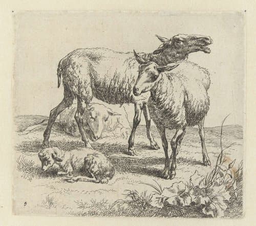 Blatend schaap tussen twee schapen en een lam by Nicolaes Pietersz Berchem