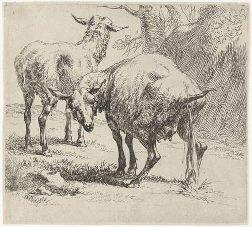 Pissende ooi en schaap by Nicolaes Pietersz Berchem