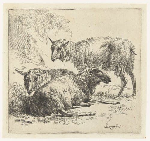 Animalia ad vivum delineata et aqua forti aeri impressa Studio et Arte Nicolai Berchemi by Nicolaes Pietersz Berchem