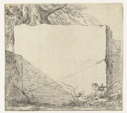 Animalia ad vivum delineata et aqua forti aeri impressa Studio et Arte Nicolai Berchemi by Nicolaes Pietersz Berchem