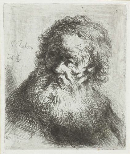 Oude man met baard by Jan Chalon