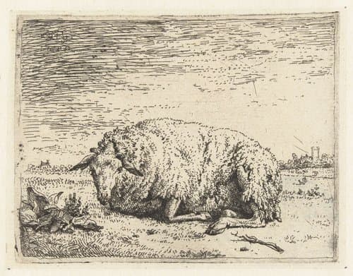 Liggende schaap by Karel du Jardin