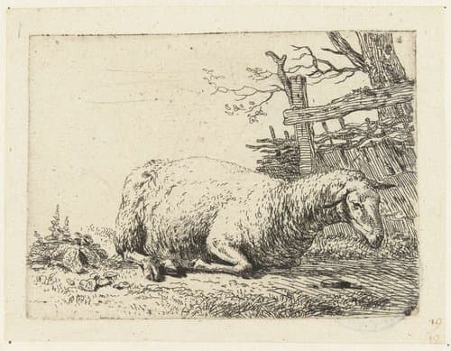 Schaap bij een gevlochten hek by Karel du Jardin