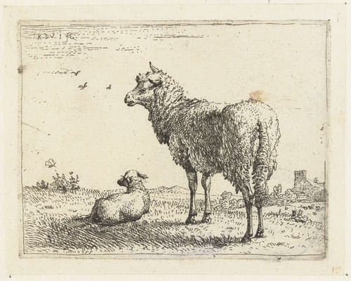 Ooi met een lam by Karel du Jardin
