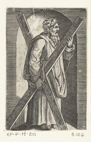 Apostel Andreas met kruis staand in nis by anonymous; Marcantonio Raimondi