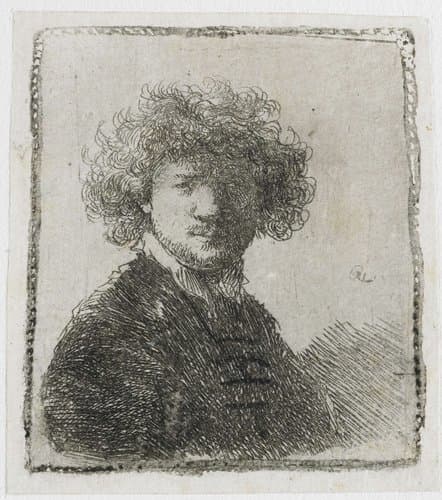 Self-portrait with Curly Hair by Rembrandt van Rijn