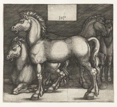 Vier paarden by Hans Sebald Beham