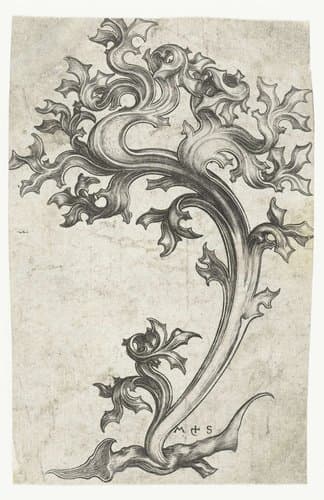 bladornament (distel) by Martin Schongauer