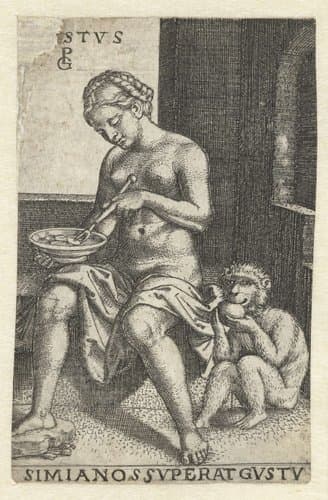 Smaak (Gustus) by Georg Pencz