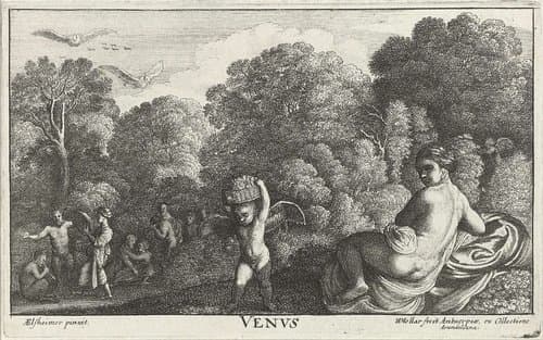 Venus by Wenceslaus Hollar