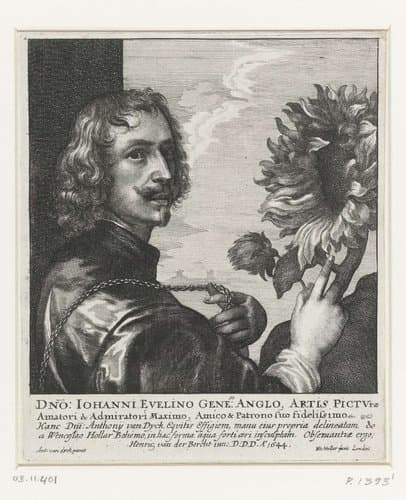 Portret van Anthony van Dyck by Wenceslaus Hollar