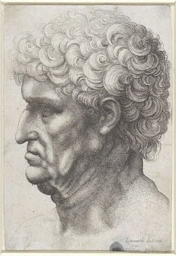 Hoofd van man met krullend haar by Wenceslaus Hollar