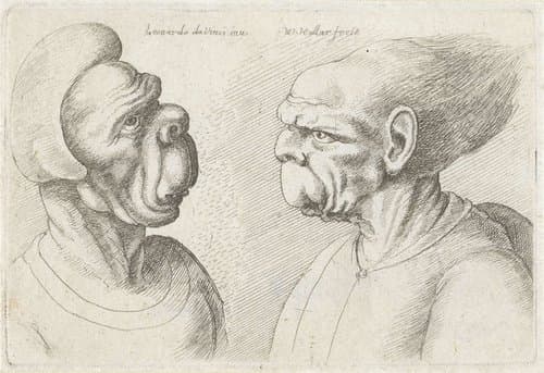 Varie figurae et probae by Wenceslaus Hollar