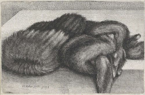 Mof en stola van bont by Wenceslaus Hollar