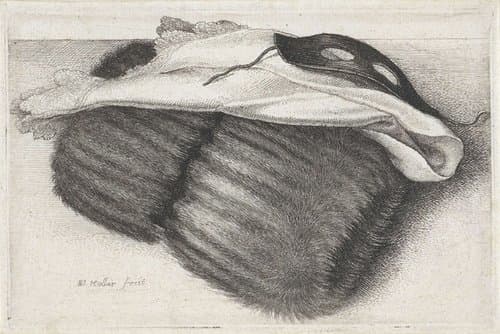 Mof van bont by Wenceslaus Hollar
