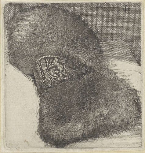 Moffen by Wenceslaus Hollar
