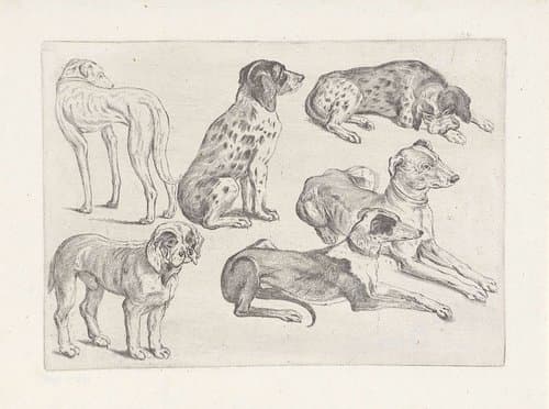 Jacht, jachthonden en wild by Wenceslaus Hollar