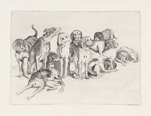Elf jachthonden by Wenceslaus Hollar