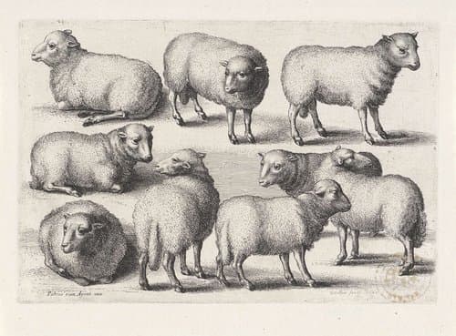 Jacht, jachthonden en wild by Wenceslaus Hollar