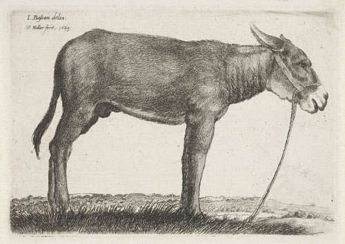 Ezel by Wenceslaus Hollar