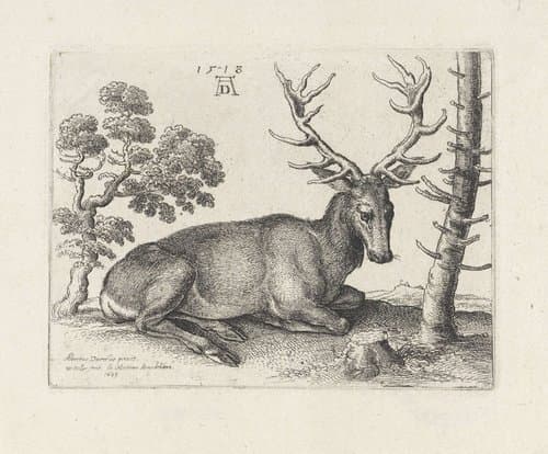 Liggend hert, naar rechts by Wenceslaus Hollar