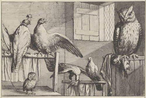 Verschillende vogels by Wenceslaus Hollar