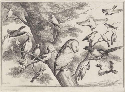 Vogels in een boom by Wenceslaus Hollar