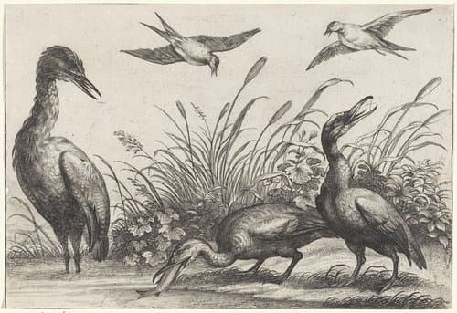 Reigers en zwaluwen by anonymous