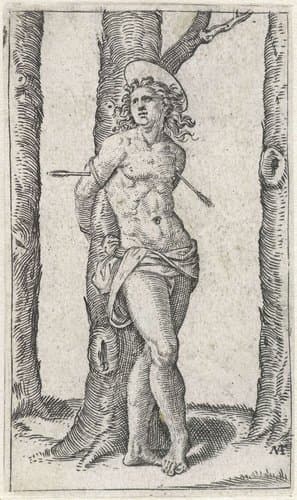 Heilige Sebastiaan vastgebonden aan boom met pijlen in lichaam by Marcantonio Raimondi