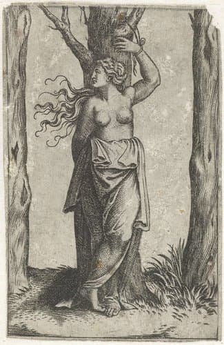 Heilige Agatha vastgebonden aan boom by anonymous