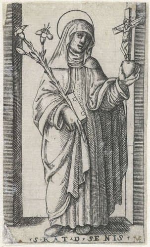 Heilige Catharina van Siena met crucifix en lelie by anonymous