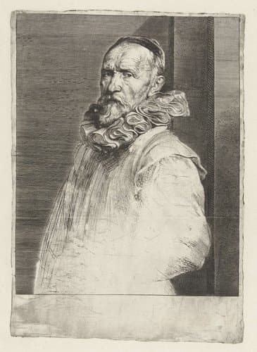 Portret van Hans de Wael by Anthony van Dyck
