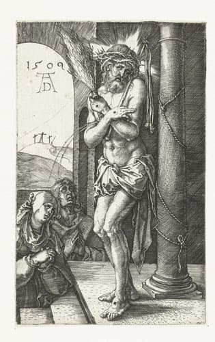 De gegraveerde Passie by Albrecht Dürer