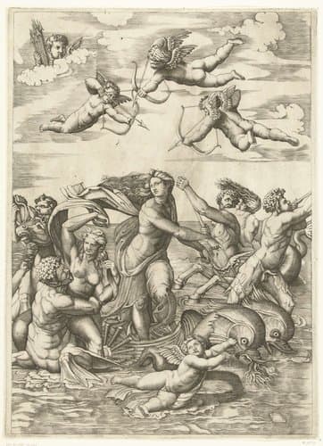 Triomf van Galatea met tritons en nereïden en putti by anonymous