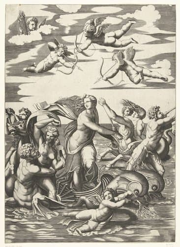 Triomf van Galatea met tritons en nereïden en putti by anonymous