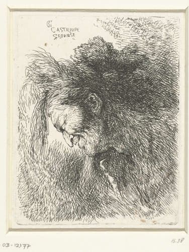 Kleine studie van hoofden met oosterse hoofddeksels by Giovanni Benedetto Castiglione