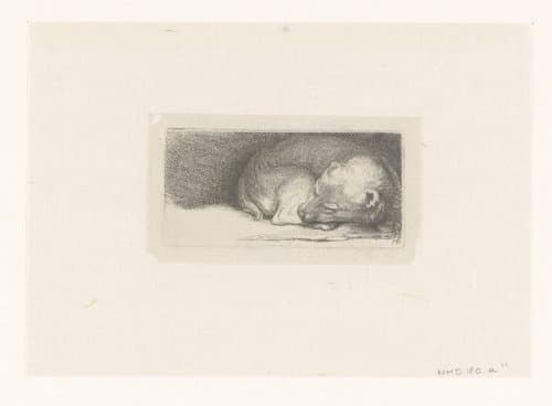 Sleaping puppy