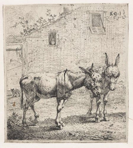 Twee ezels by Karel du Jardin