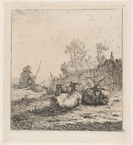 Geit en twee schapen by Karel du Jardin
