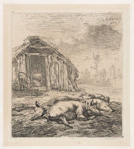 8/8 by Karel du Jardin