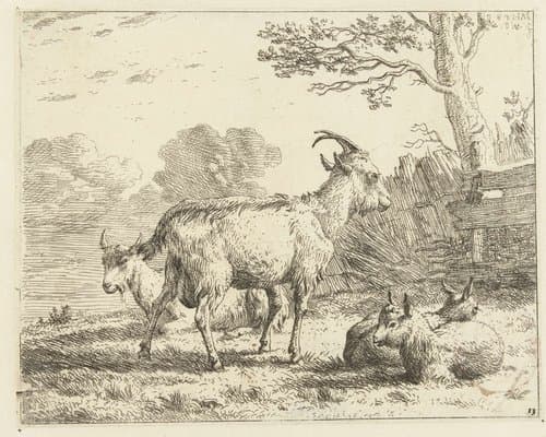 Vier geiten by Karel du Jardin