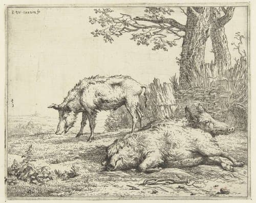 Drie zwijnen bij een heg by Karel du Jardin