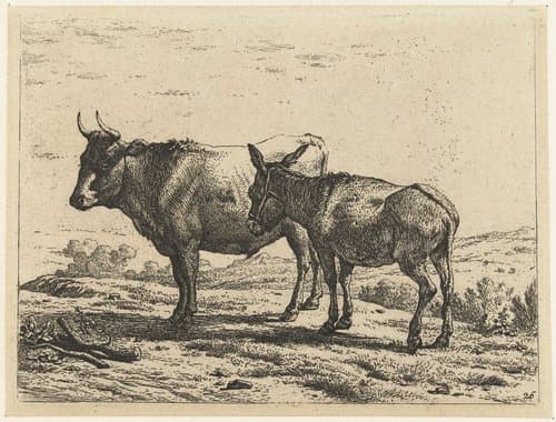 Os en een ezel by Karel du Jardin