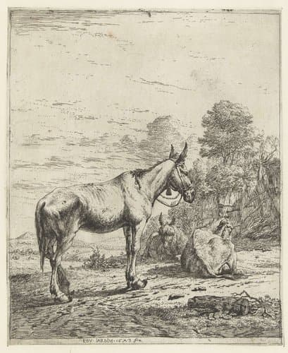 Muilezel met bel aan halster en twee liggende ezels by Karel du Jardin