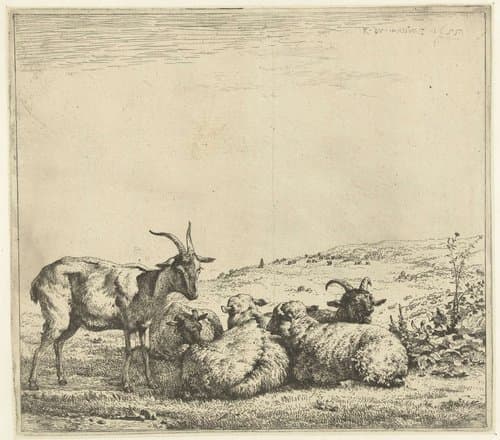 Twee geiten en drie schapen by Karel du Jardin