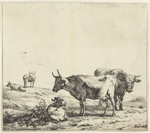 Koe, stier en een kalf by Karel du Jardin