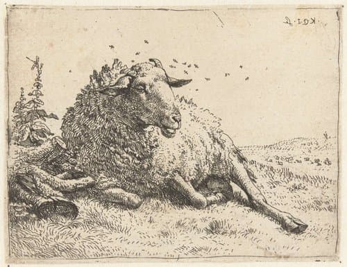 Schaap bij een boomstam by Karel du Jardin